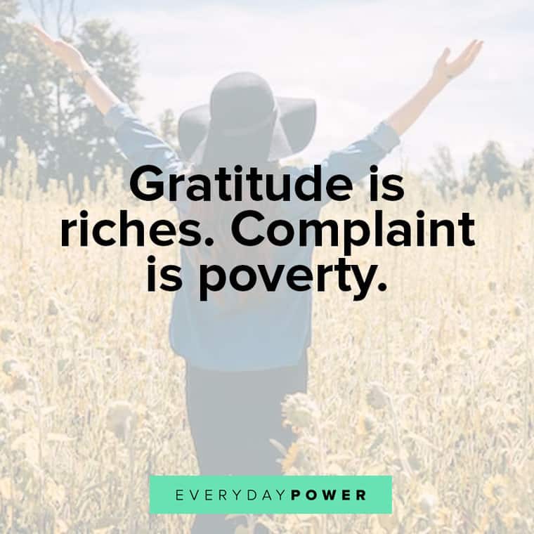 appreciation quotes about gratitude