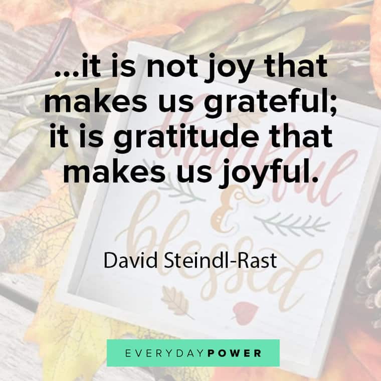 Appreciation Quotes About Gratitude