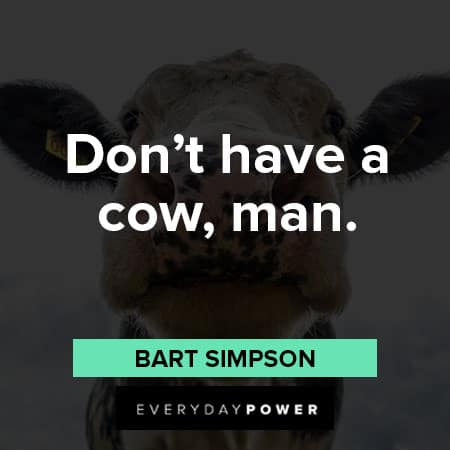 Bart Simpson quotes about Cow Man 