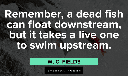 swimming upstream quotes