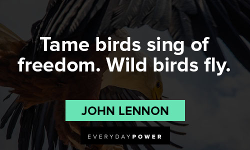 Bird Quotes About Freedom