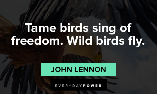 quotes about being free like a bird