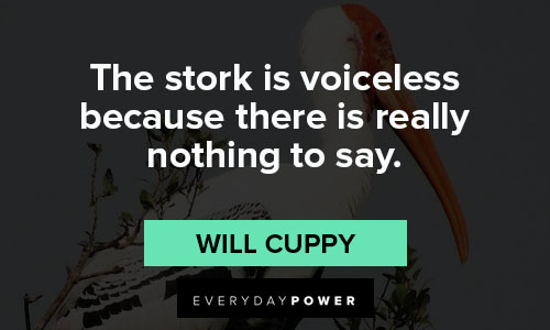 Bird Quotes About Storks