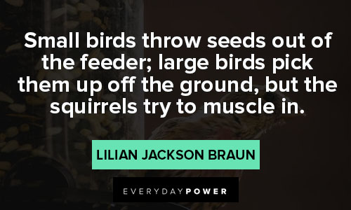 Bird Quotes About Seeds