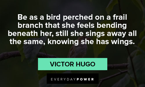 Bird Quotes About Wings
