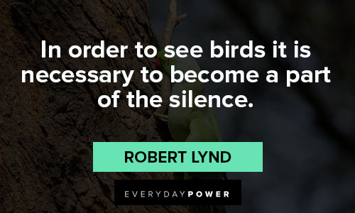 Bird Quotes About Wings