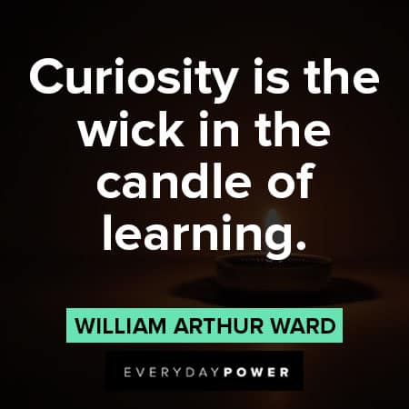 candle quotes about Curiosity