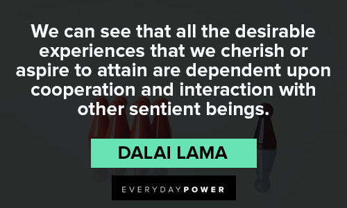Best Collaboration Quotes from Dalai Lama