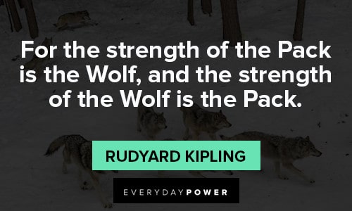 Unity Quotes about wolves