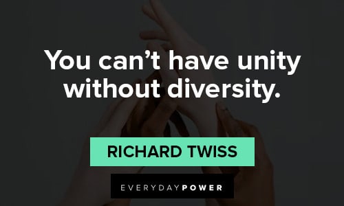 Unity Quotes about diversity