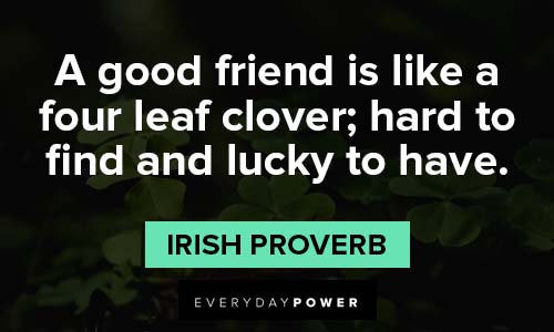 friendship quotes for having lucky