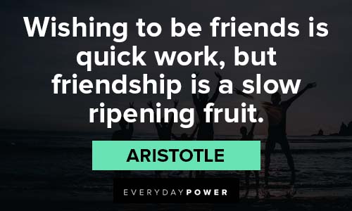friendship quotes about friendship is a slow ripening fruit