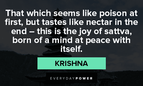 Krishna Quotes About Joy