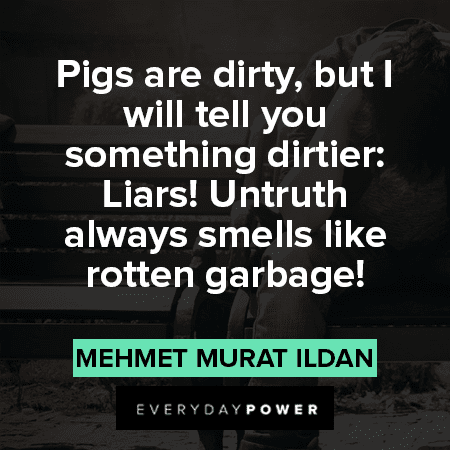 Liar Quotes about pigs