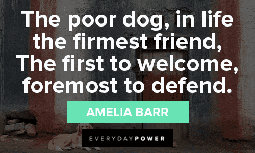 Welcome Quotes about dogs