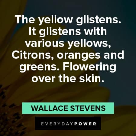 Yellow Quotes About Glistening