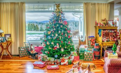 Christmas Tree Quotes To Spark The Joy Of The Season