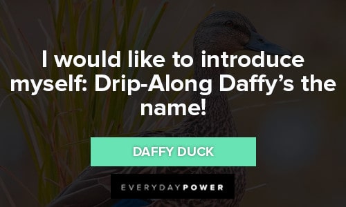 Daffy Duck Quotes to introduce myself