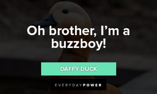 Daffy Duck Quotes about oh brother, I'm a buzzboy