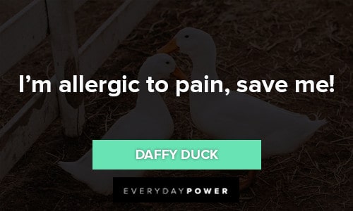 Daffy Duck Quotes about I'm allergic to pain, save me
