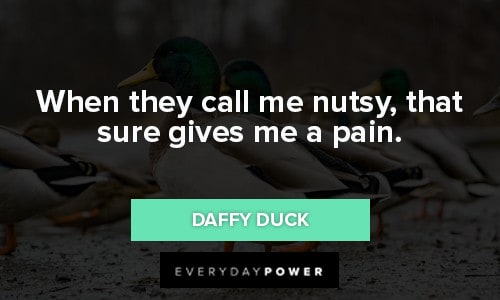 Daffy Duck Quotes about when they call me a nutsy, that sure gives me a pain
