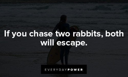 decision quotes about chase two rabbits