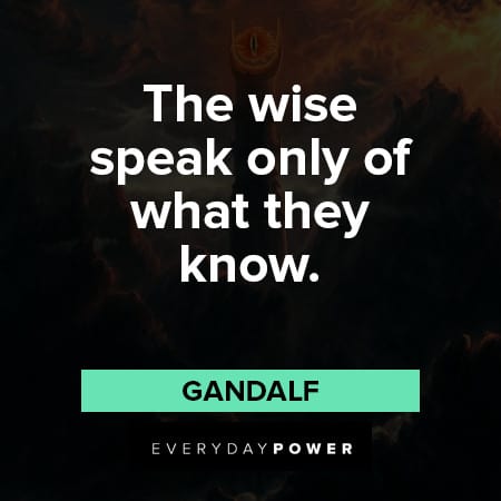 Lord of the Rings quotes about the wise speak only of what they know