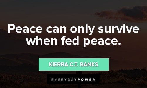 namaste quotes about peace can only survive when fed peace