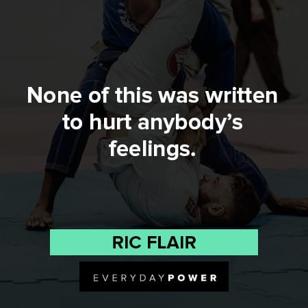 Ric Flair quotes about hurt anyboy's feeling
