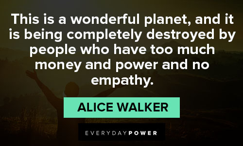 Alice Walker Quotes about this is a wonderful planet