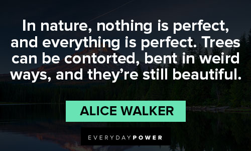 Alice Walker Quotes about nature