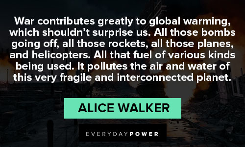 Alice Walker Quotes about contributing in war