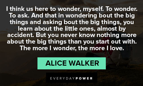 Alice Walker Quotes about wonder