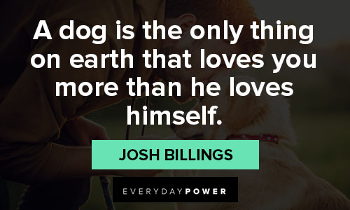 animal quotes about a dog is the only thing on earth that loves you more than he loves himself