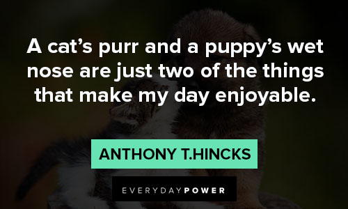 100 Animal Quotes Celebrating Their Role in Our Lives (2023)