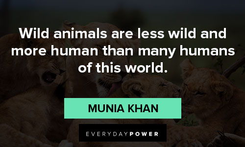 animal quotes about wild animals are less wild and more human than many humans of this world