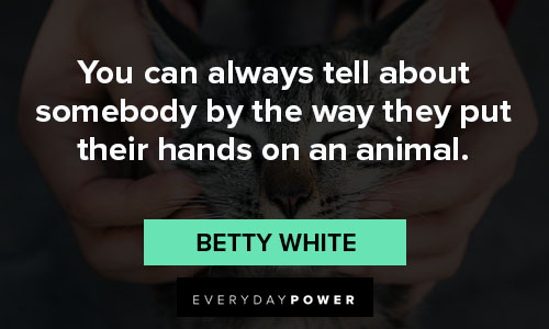 animal quotes about somebody by the way they put their hands on an animal
