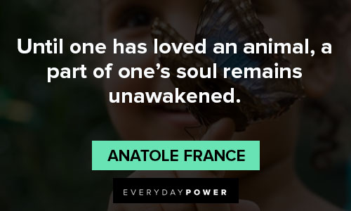 100 Animal Quotes Celebrating Their Role in Our Lives (2023)