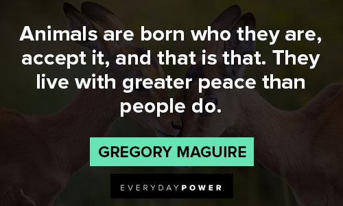 animal quotes about peace
