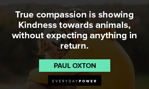animal quotes about true compassion is showing kindness towards animals