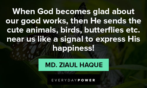 animal quotes about GOD