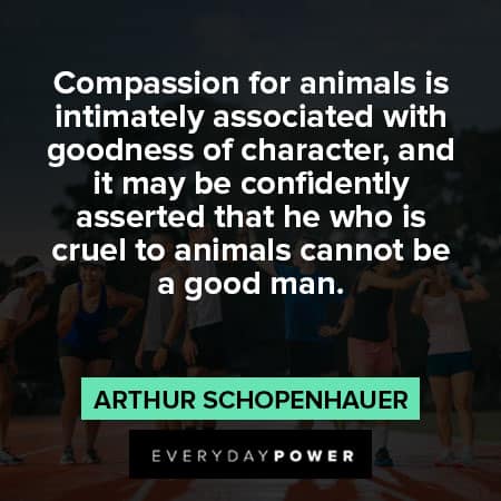 Arthur Schopenhauer quotes about compassion for animals is intimately associated with goodness of character