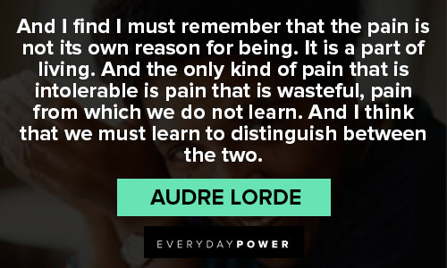 audre lorde quotes to distinguish between the two