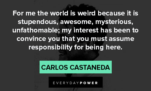 Carlos Castaneda quotes that you must assume responsibility for being here