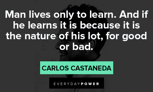 Carlos Castaneda quotes about man lives only to learn