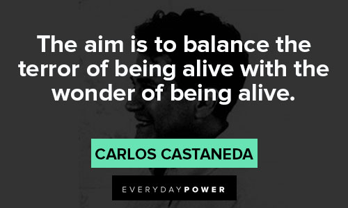 Carlos Castaneda quotes about the aim is to balance the terror of being alive with the wonder of being alive