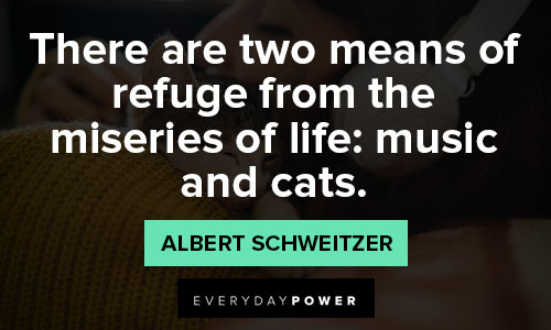 cat quotes about music and cats