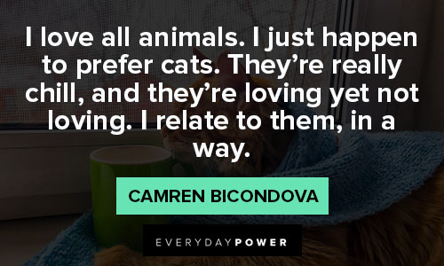 cat quotes on loving animals