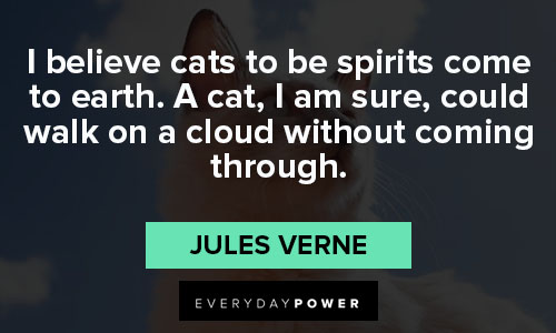 cat quotes about believe cats to be spirits come to earth
