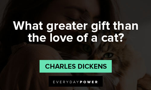 cat quotes what greater gift than the love of a cat